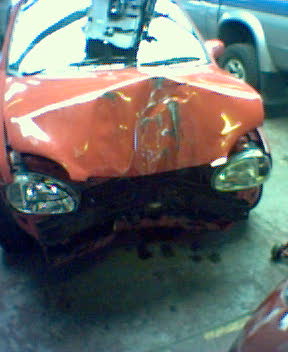 stucorsa1.jpg