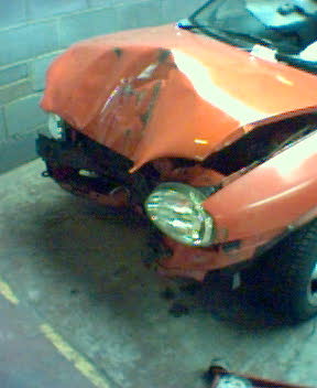 stucorsa2.jpg